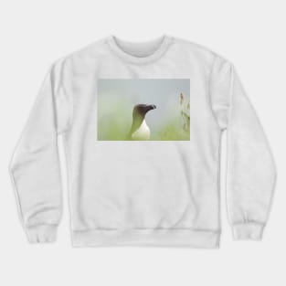 Razorbill with muted background Crewneck Sweatshirt